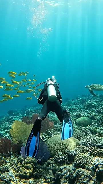 Veo 3.1 — Slow dolly shot following from behind, a scuba diver in full gear, swimming gracefully over a vi